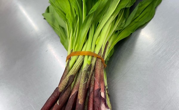 新物の行者にんにくが入荷しました